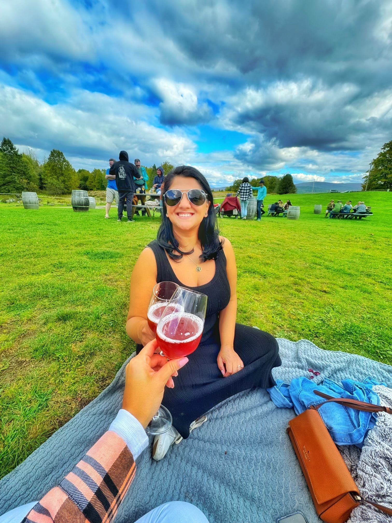 A woman smiling while holding up a glass for a toast on a blanket in a grassy field under a cloudy sky.