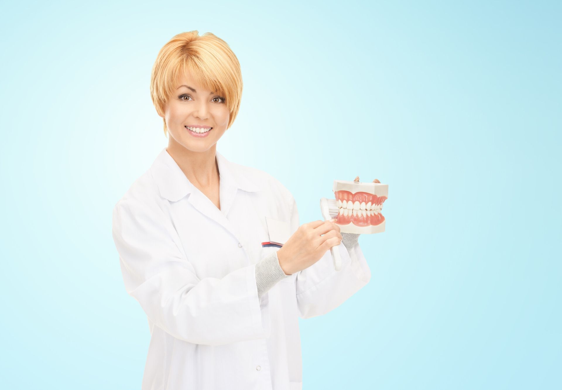 A female dentist is holding a model of teeth in her hands.