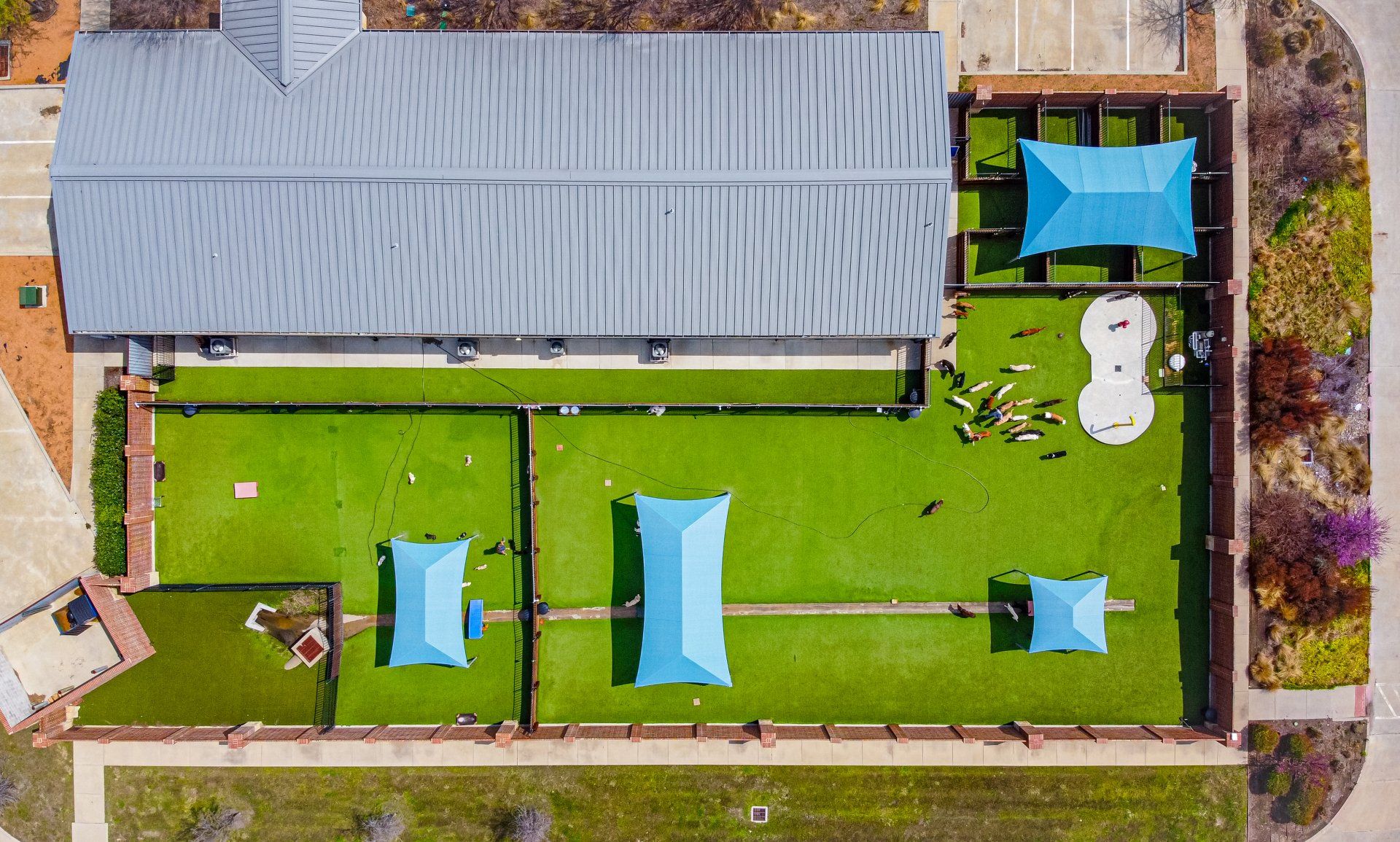 Legacy Dog Resort Gallery Frisco Texas Playcare Boarding