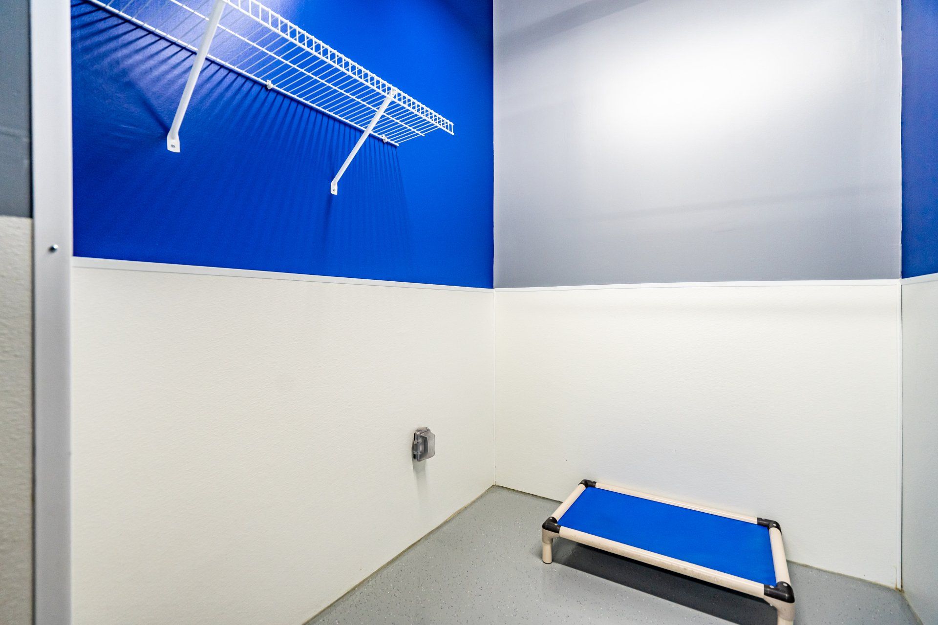 Legacy Dog Resort Gallery Frisco Texas Playcare Boarding