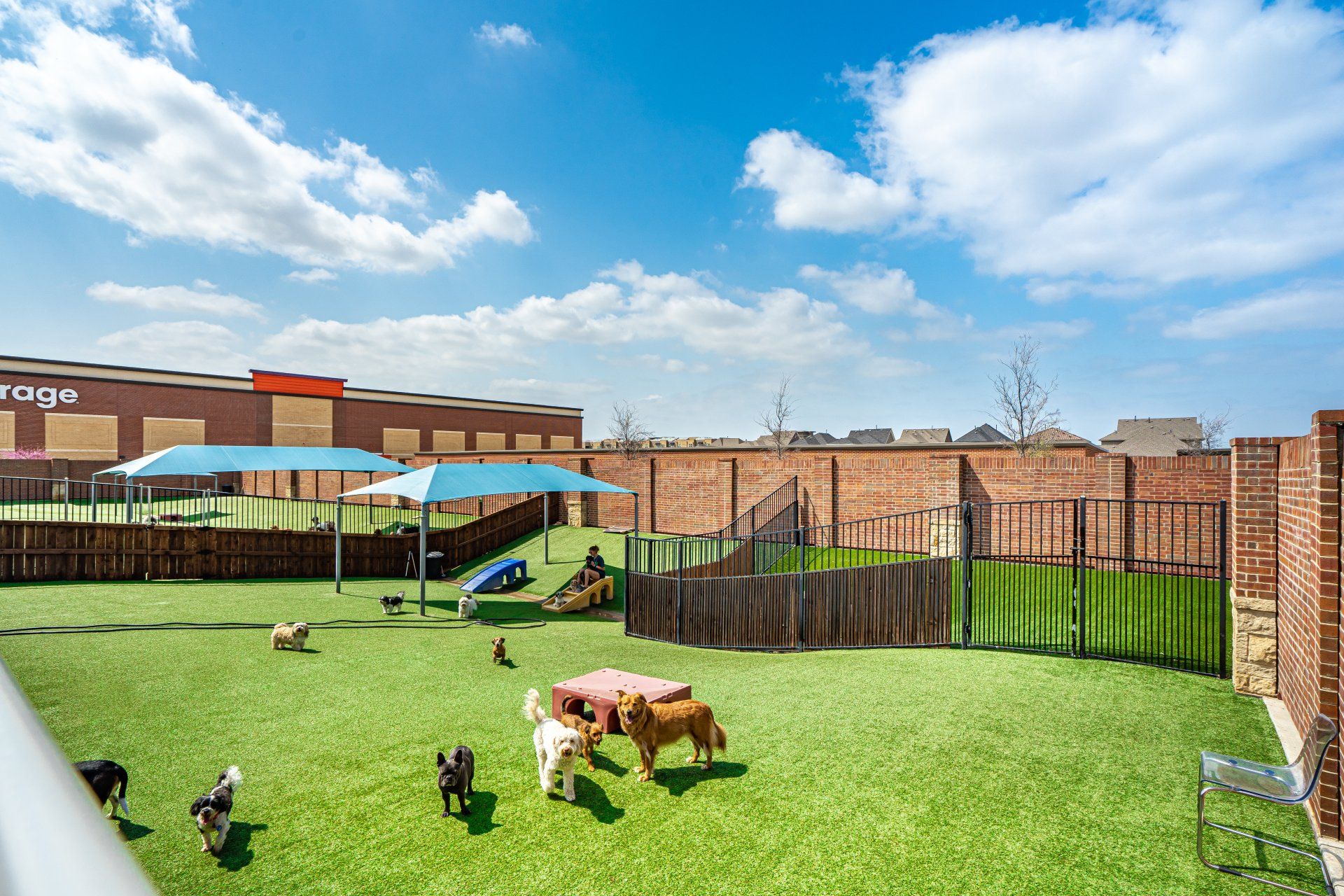legacy-dog-resort-gallery-frisco-texas-playcare-boarding