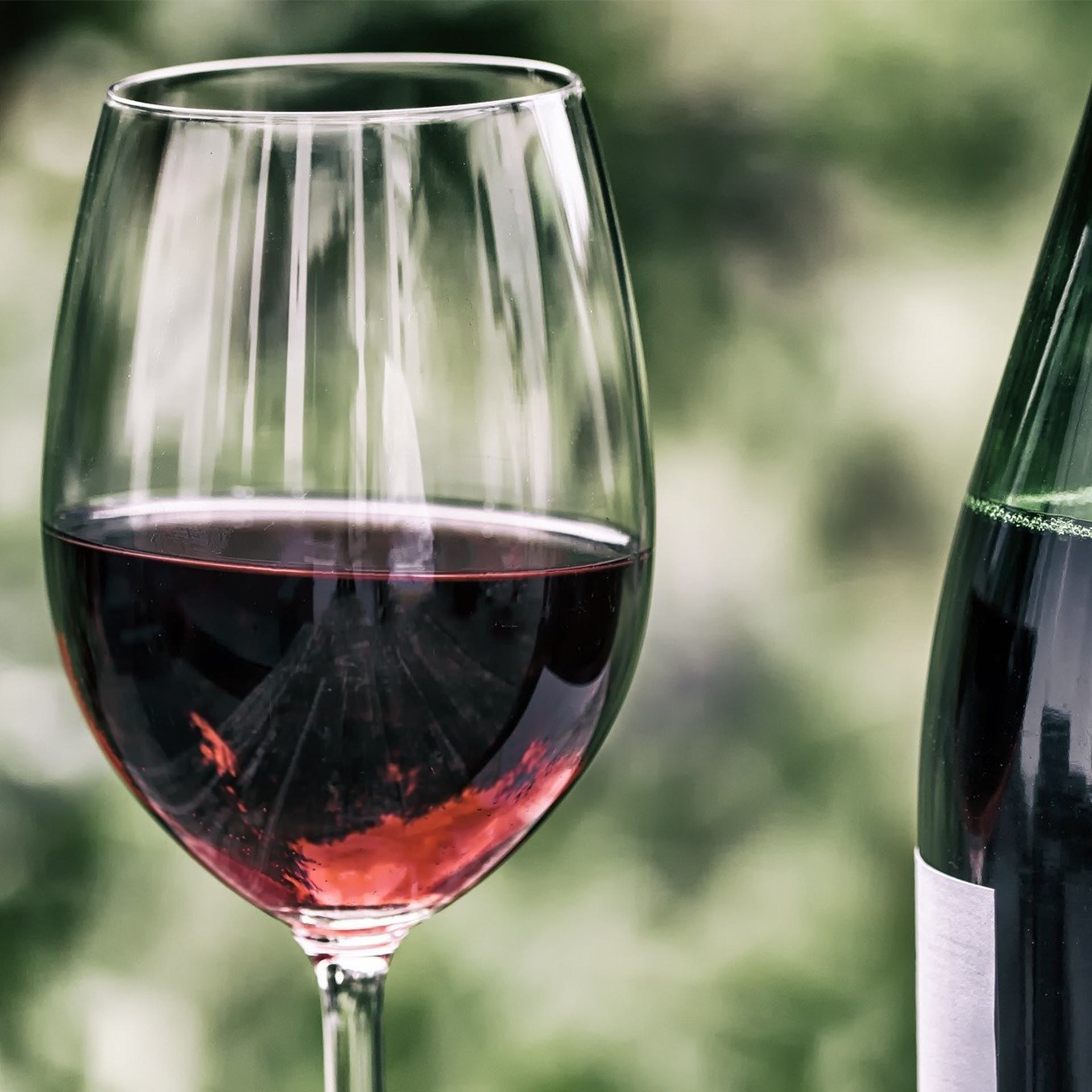 Wein Gasthaus zur Au in Scheer