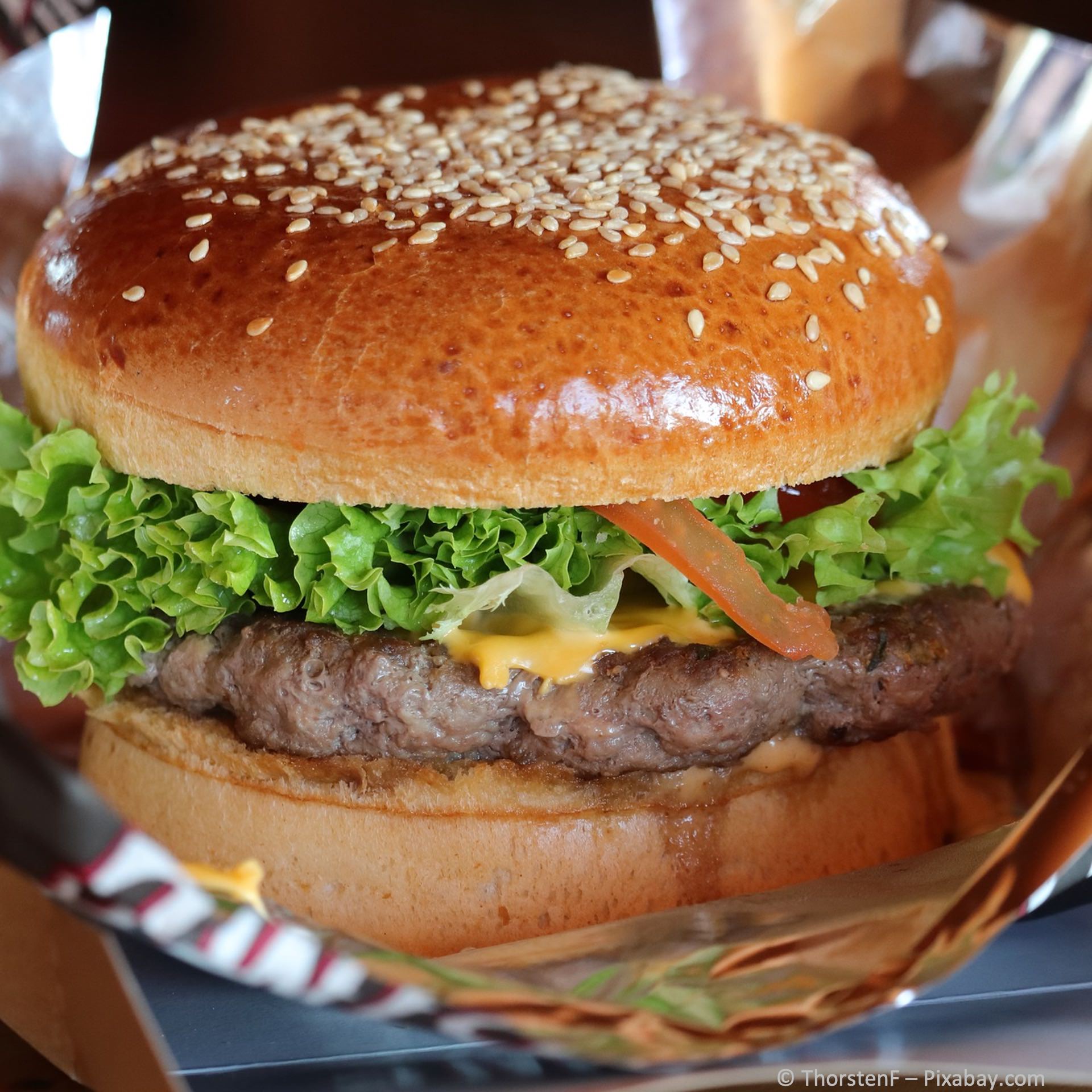 Burger Gasthaus zur Au in Scheer