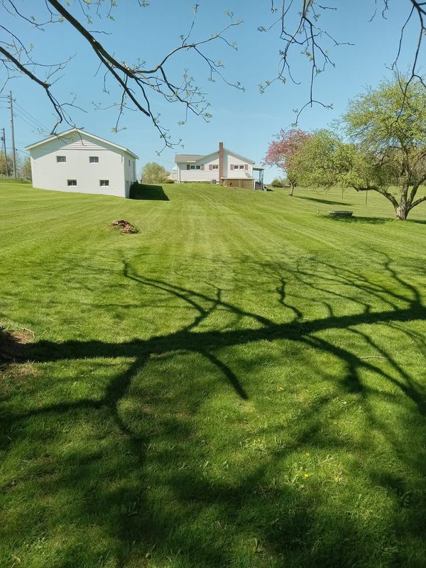 A white house is sitting on top of a lush green hill.