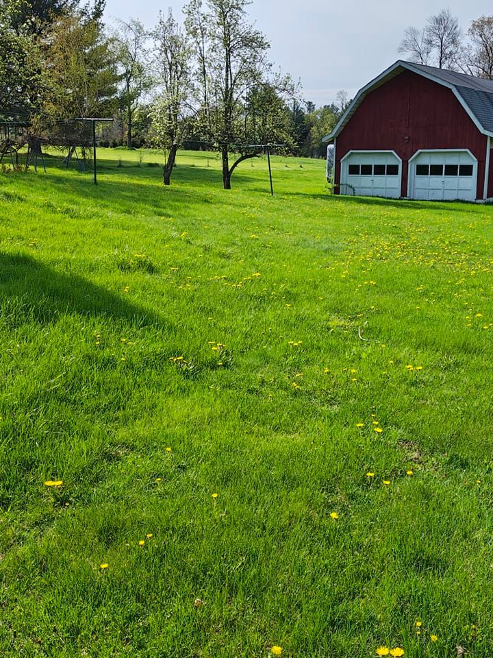 A red barn is sitting in the middle of a lush green field.