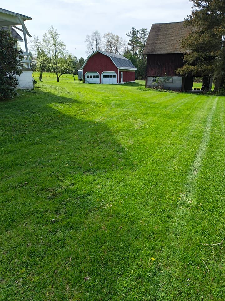 A lush green field with a red barn in the background