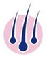 icone logo