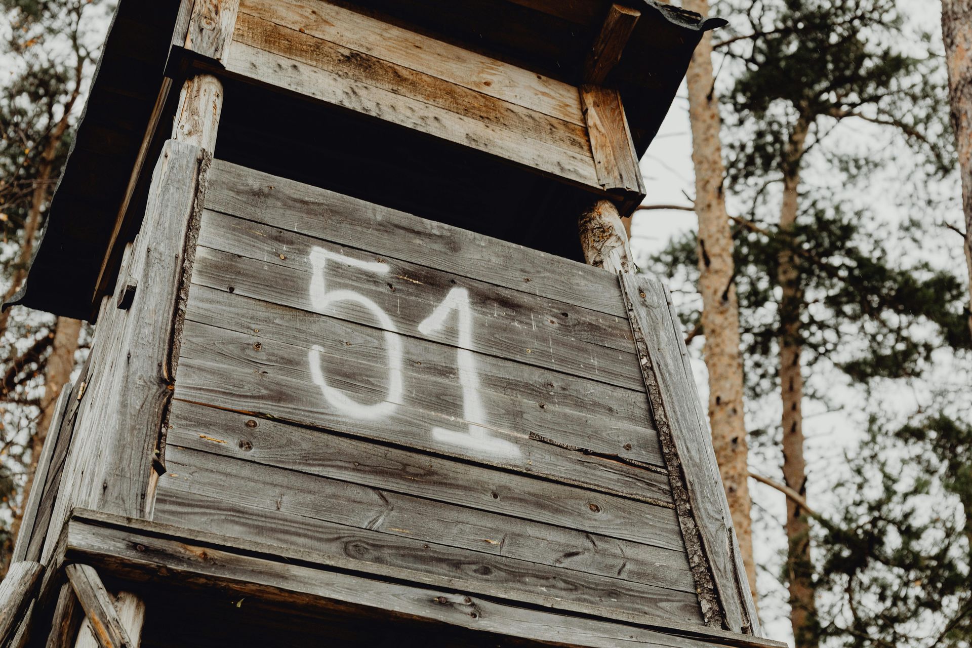 Law Office of Irvin Daphnis- Wooden hunting blind in a forest, numbered 