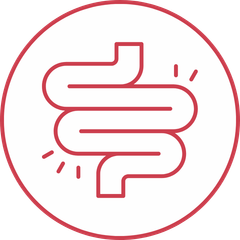 Check Up Apparato digerente