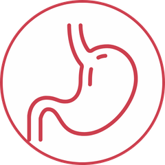 Check Up Apparato digerente