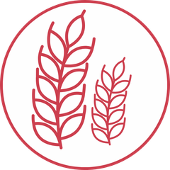 Check Up Celiachia Intolleranza al glutine