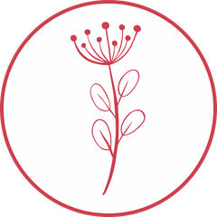 Check Up Allergie Inalanti