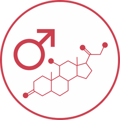 Check Up Ormoni Maschili