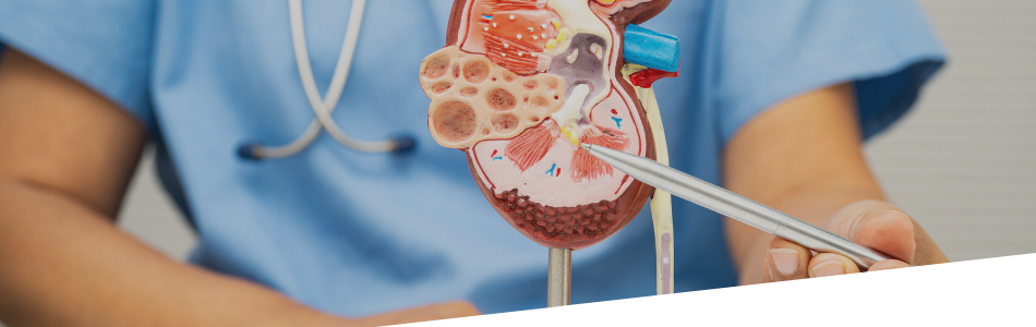 Urologia e andrologia a Villafranca