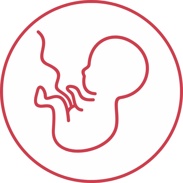Prenatalsafe®3