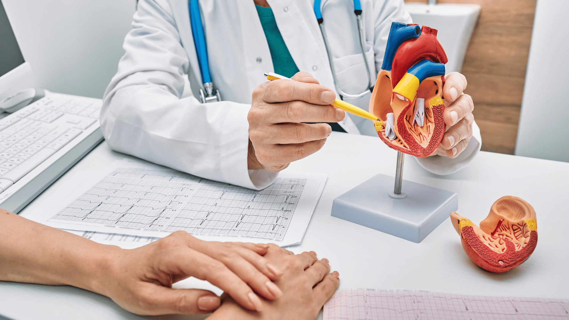 “Prima visita cardiologica: quando farla, come si svolge e quali esami aspettarsi 