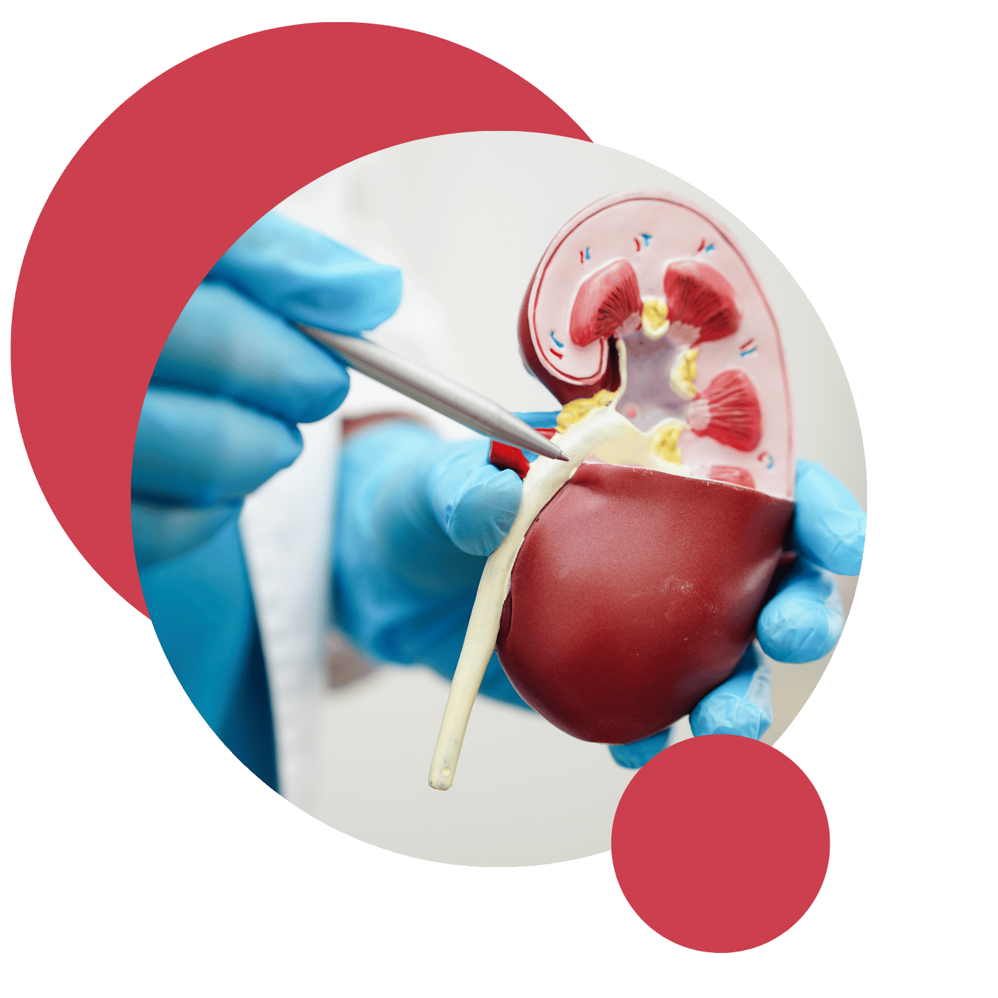 Dott. Armando Marciano urologo e andrologo villafranca