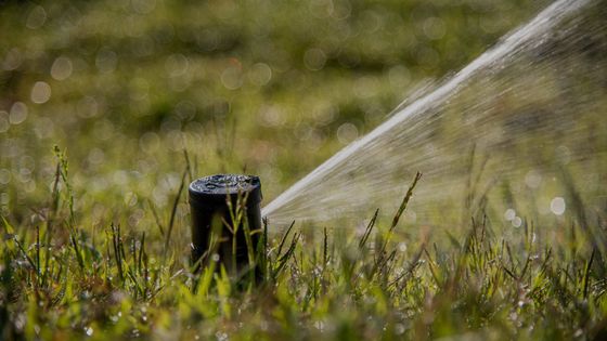 Picture of a sprinkler watering a lawn.
