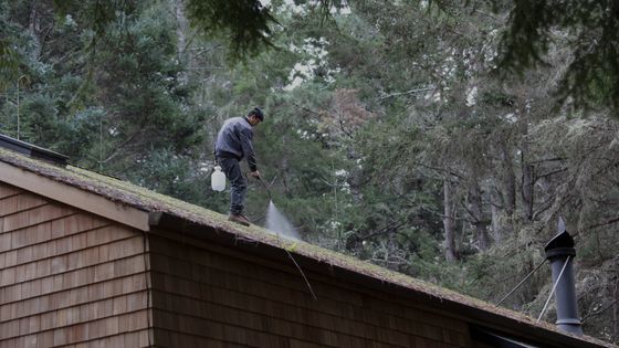 Picture of a man doing Vancouver roof moss removal by standing on the roof and spraying the moss off.