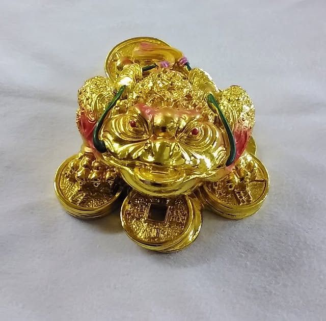 Golden money frog statue with coins on a white surface.