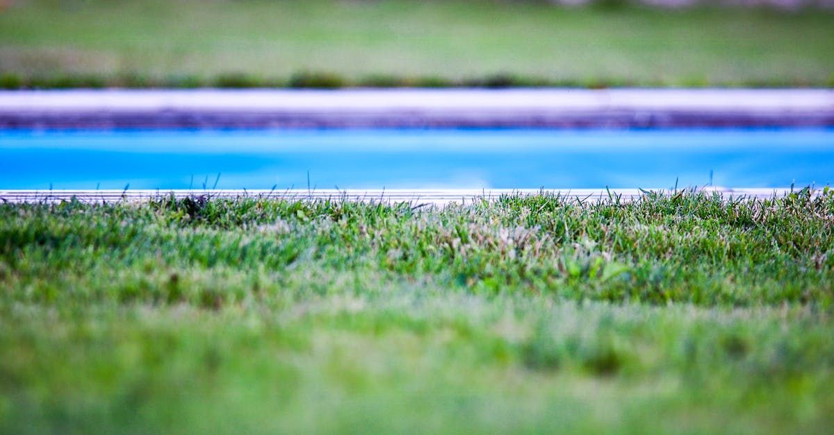 Ultimate Guide to the Best Artificial Grass for Pool Areas