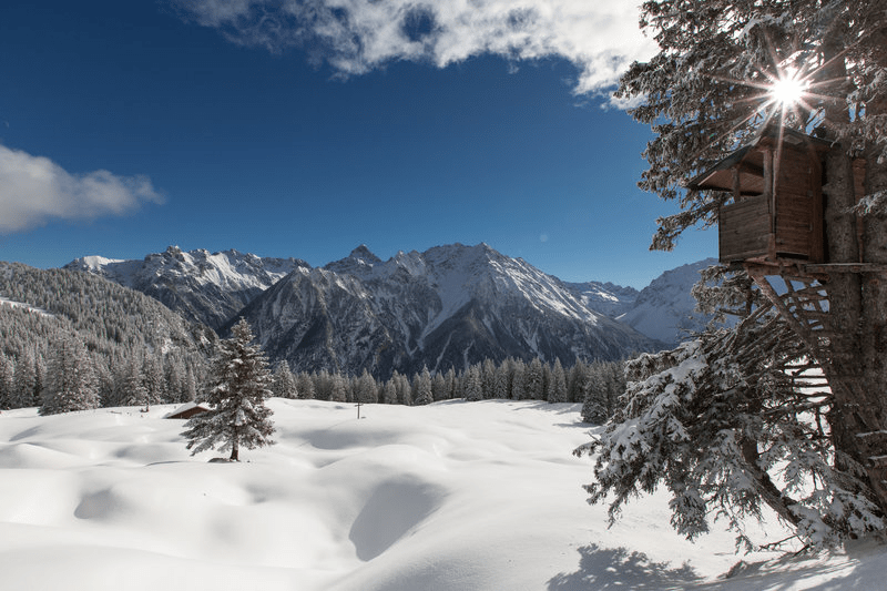 Ein schneebedecktes Feld mit Bäumen und Bergen im Hintergrund