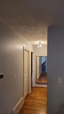 Narrow hallway with light gray walls, wooden floor, and a mirror at the end.