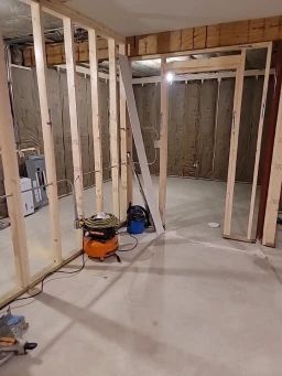 Basement framing with insulation, a doorway, an air compressor, and a concrete floor.