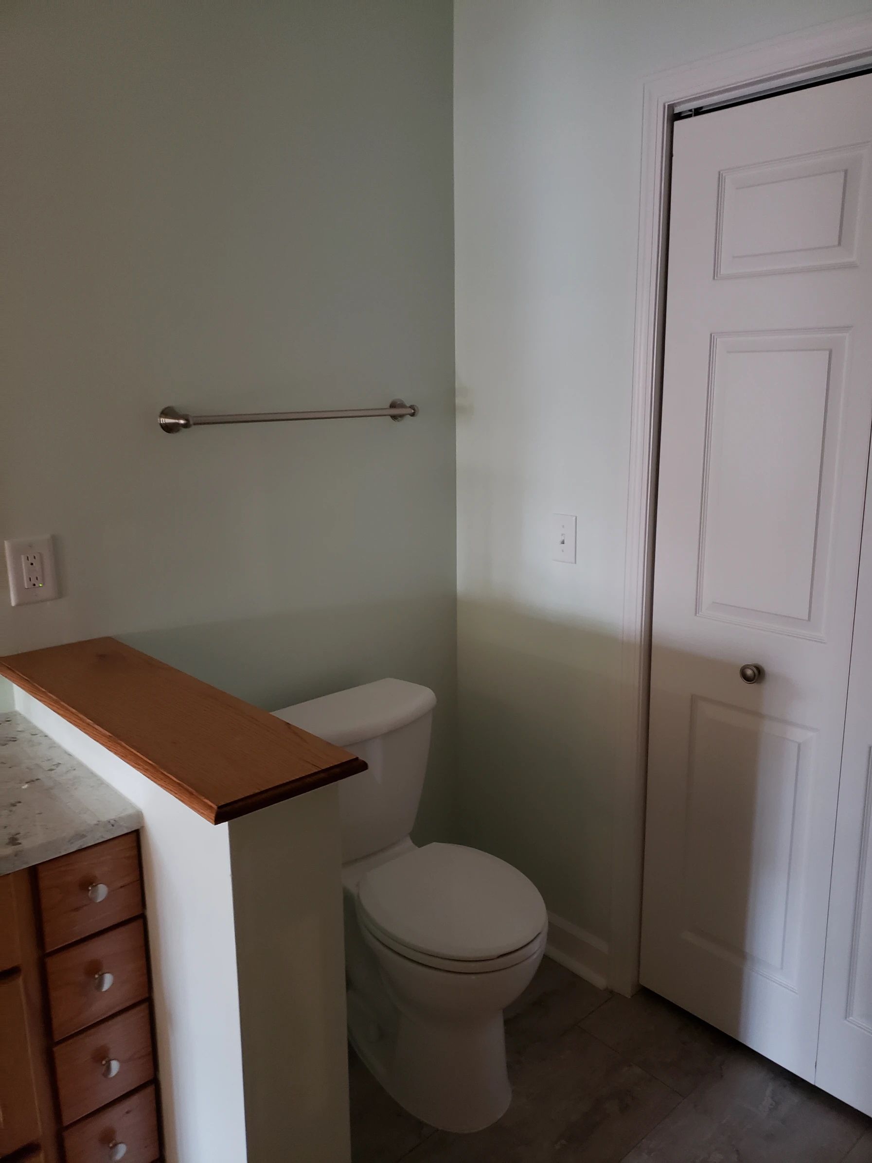 Bathroom interior with toilet, towel bar, and white closet door. Light green walls, wooden countertop.