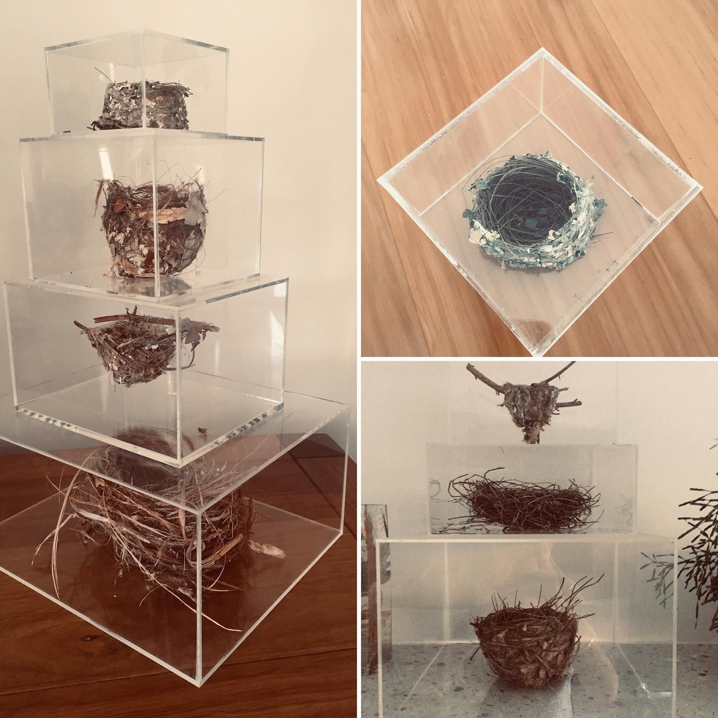 A Stack of Clear Boxes With Birds Nests Inside of Them — Bent Plastics in Kunda Park, QLD