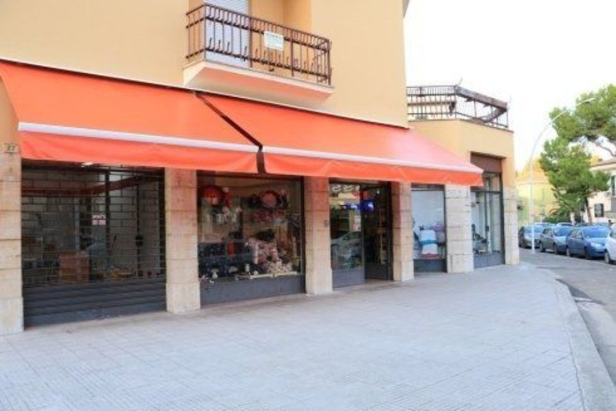 Toelettatura per animali