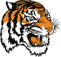 tasd tiger logo