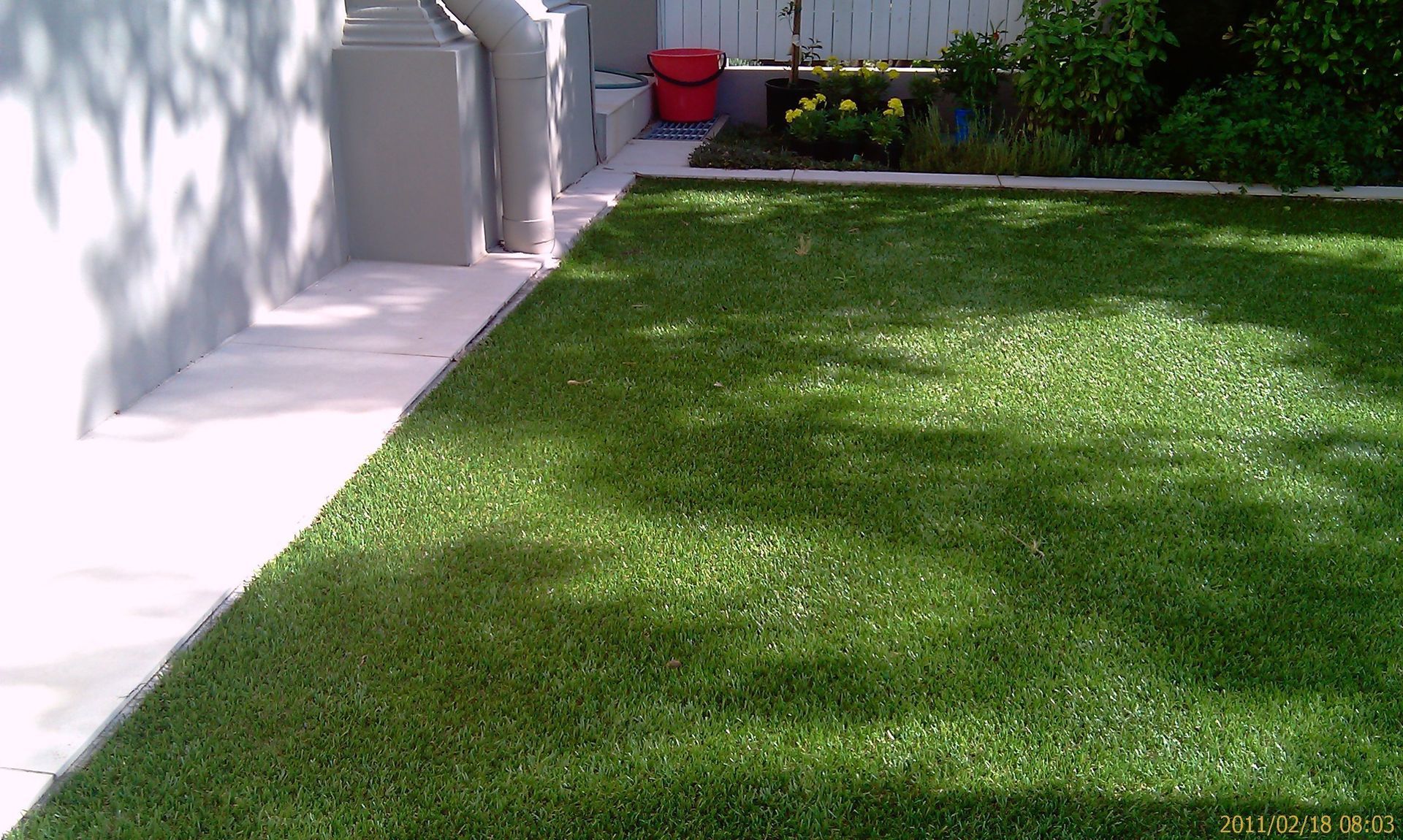 A Lush Green Lawn With a Sidewalk in the Background — Queensland, Australia — Jordin Sports Constructions