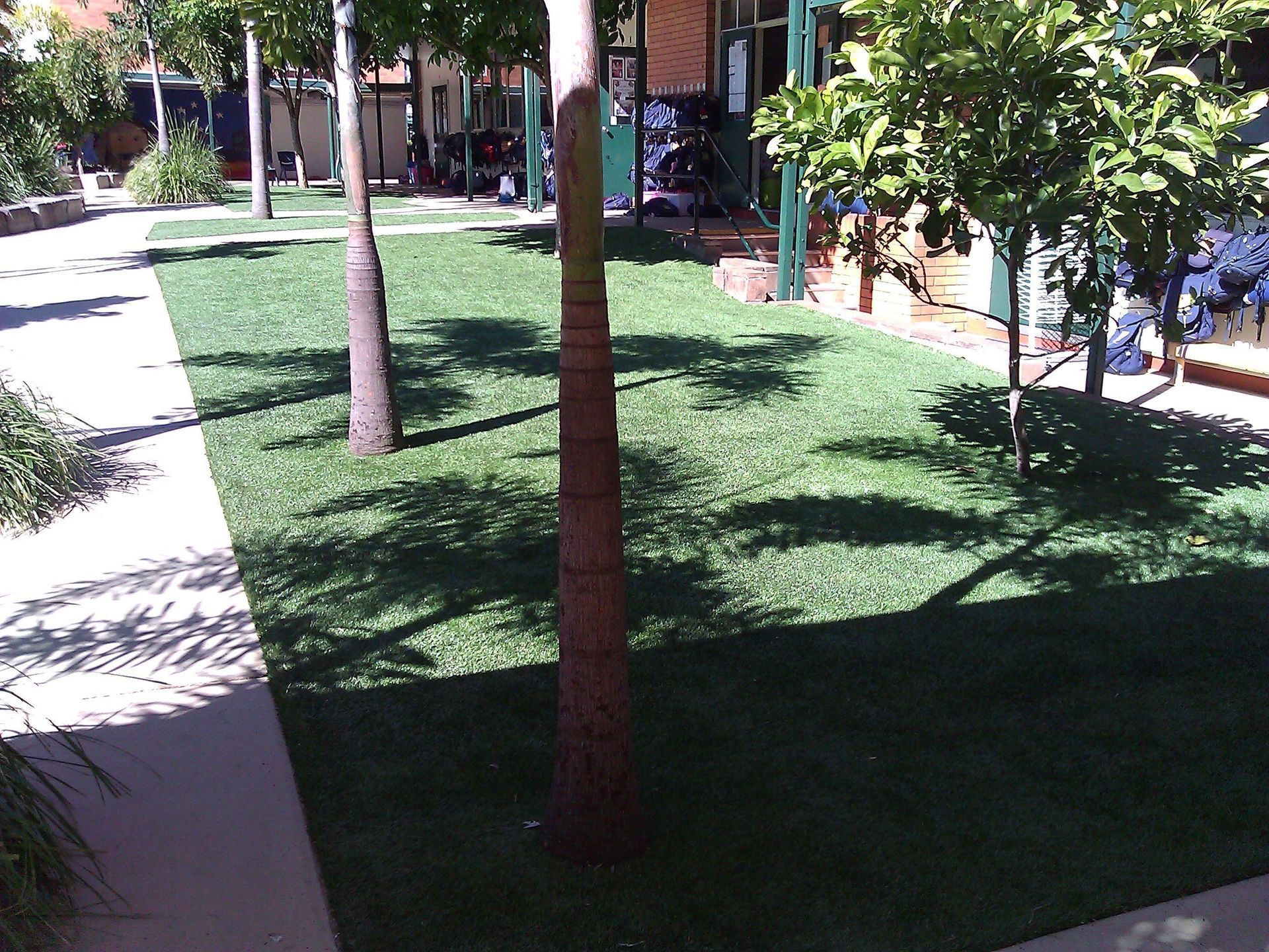 A Lush Green Lawn Surrounded by Trees and a Sidewalk — Queensland, Australia — Jordin Sports Constructions