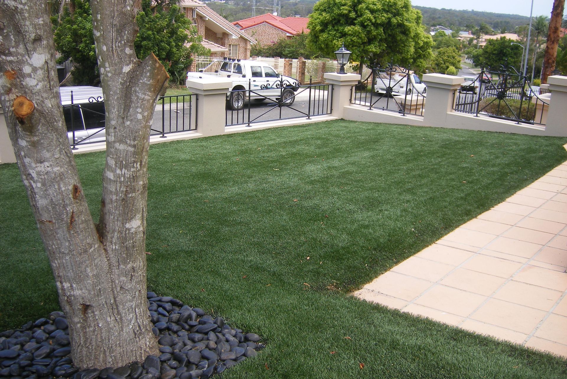 A Tree Stands in the Middle of a Lush Green Lawn — Queensland, Australia — Jordin Sports Constructions