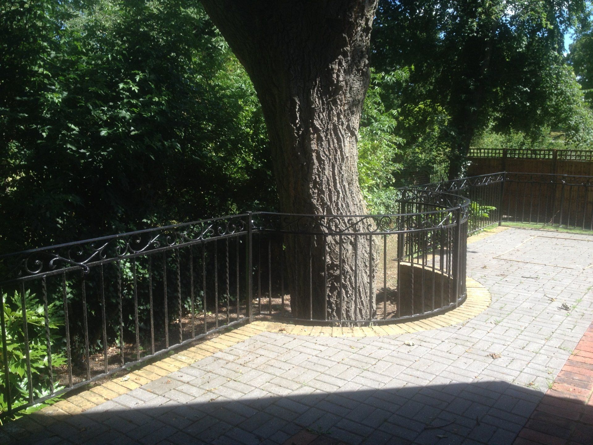 iron garden fencing and a huge tree