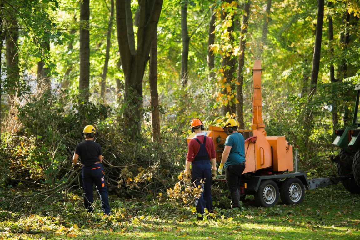 An image of Tree Removal in Huber Heights, OH