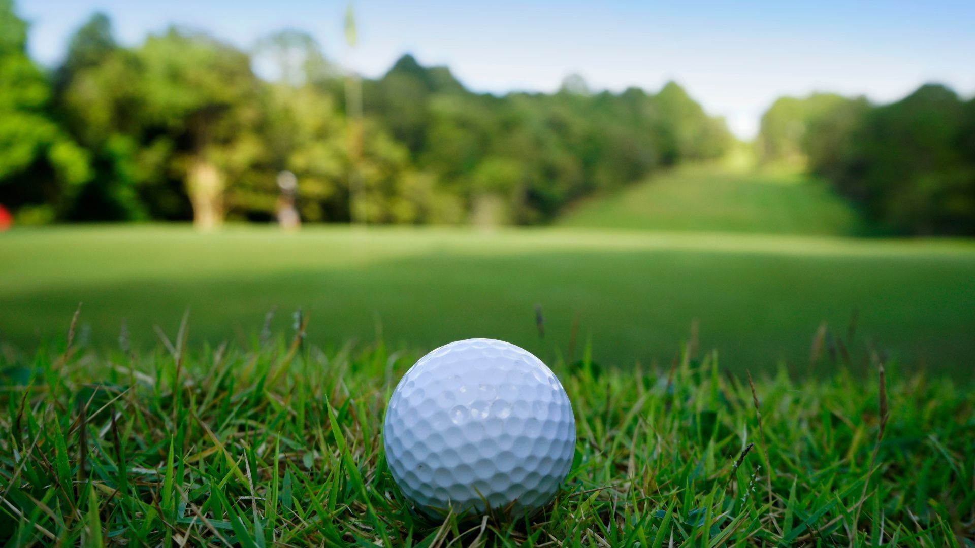 A golf ball is sitting on top of a lush green field.