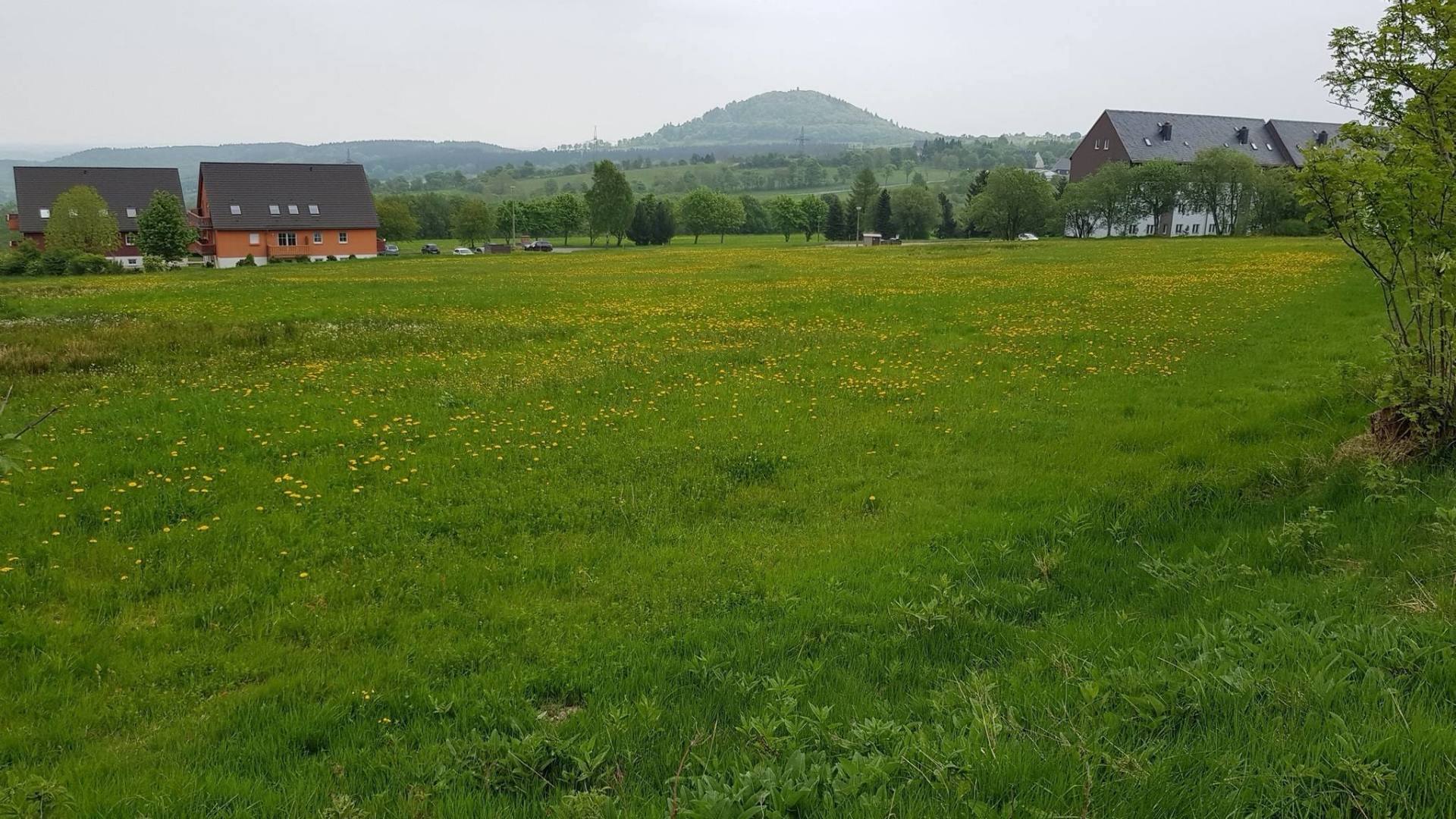 Wanderung Kipsdorf - Altenberg