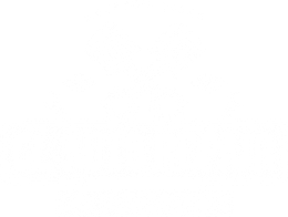 BUSINESS LOGO | CL Auto Repair