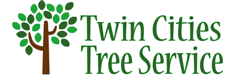 tree service