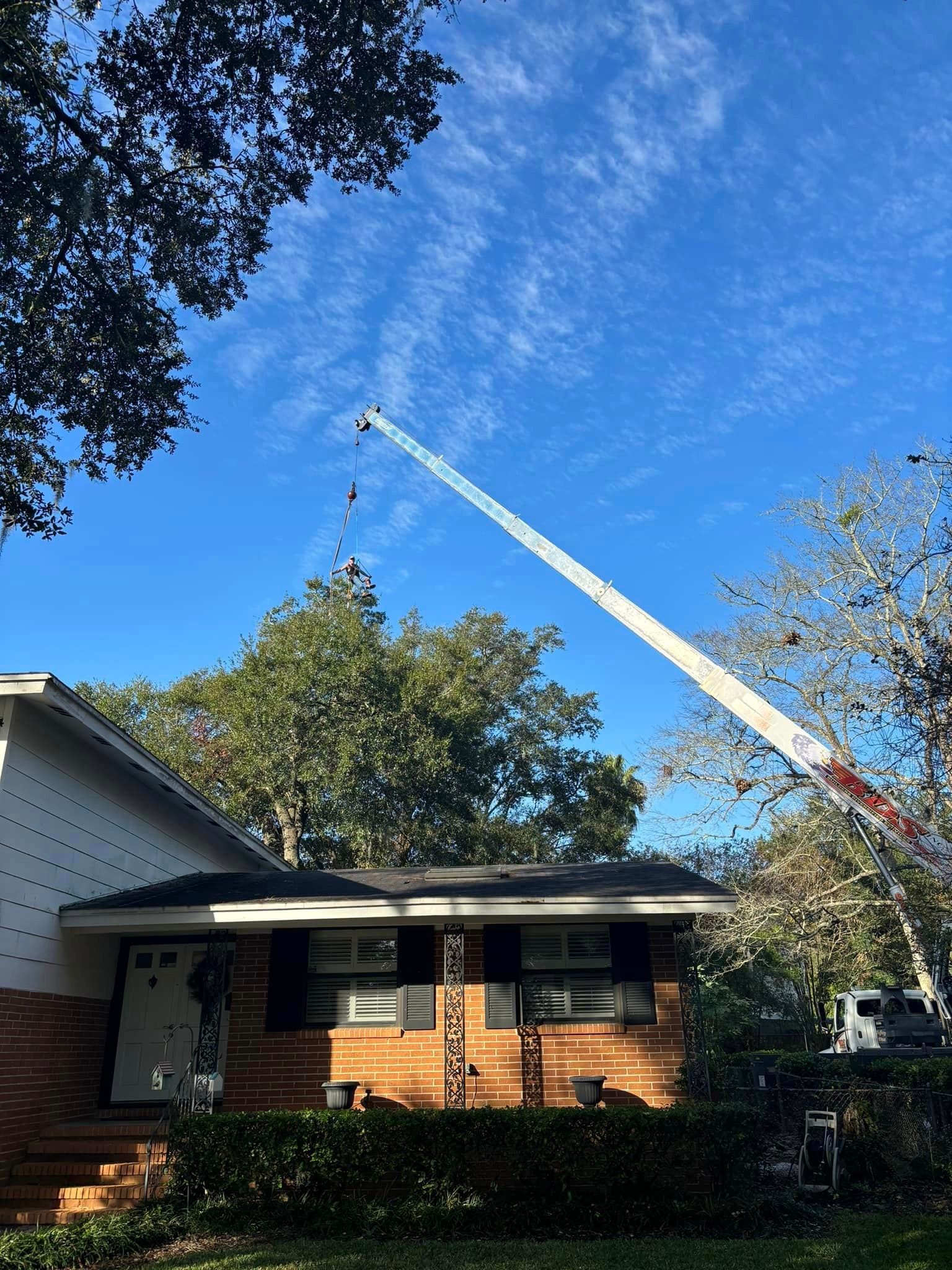 A crane is being used to remove a tree from the roof of a house