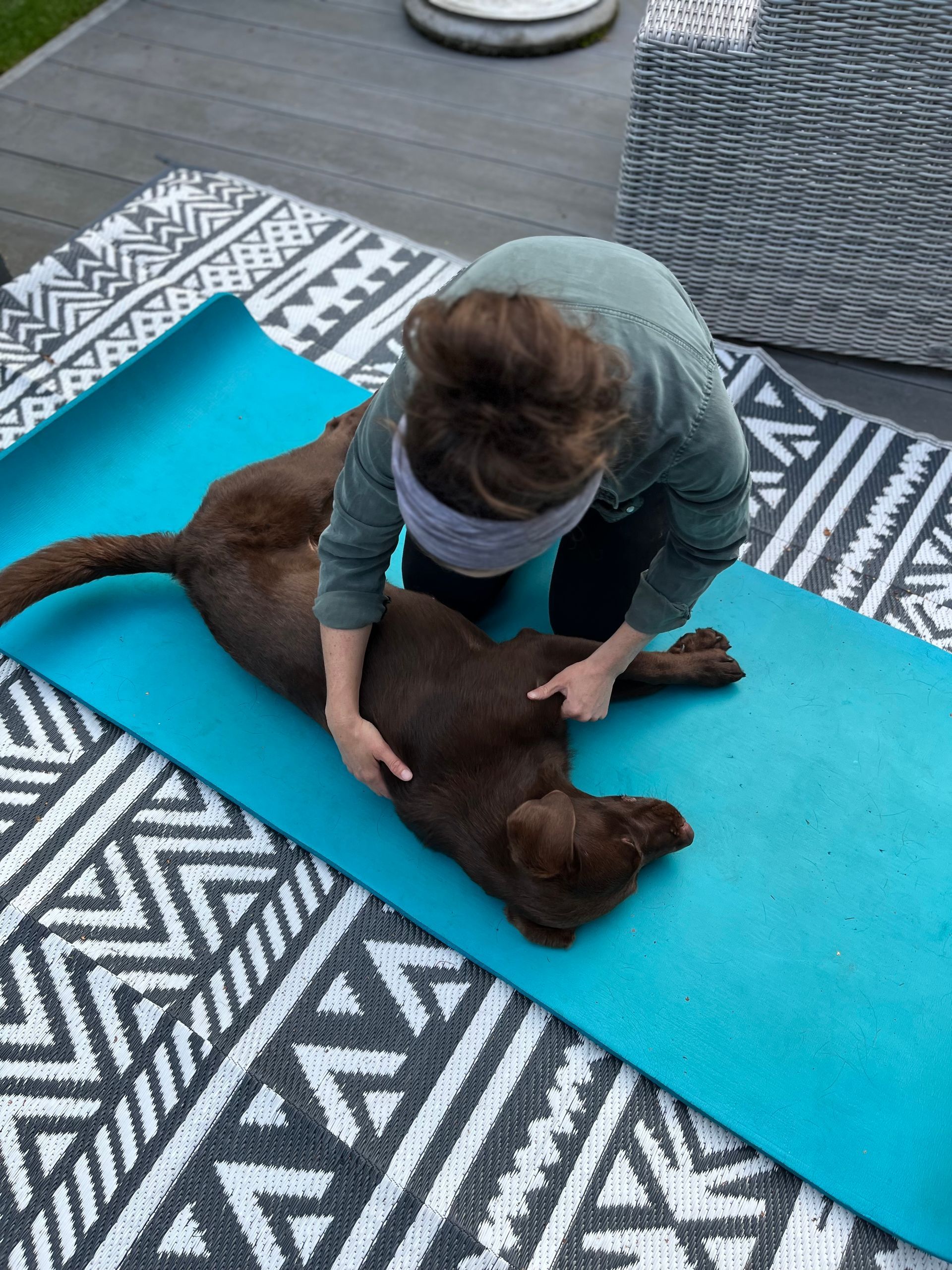 Hundephysiotherapie Achim und Bremen