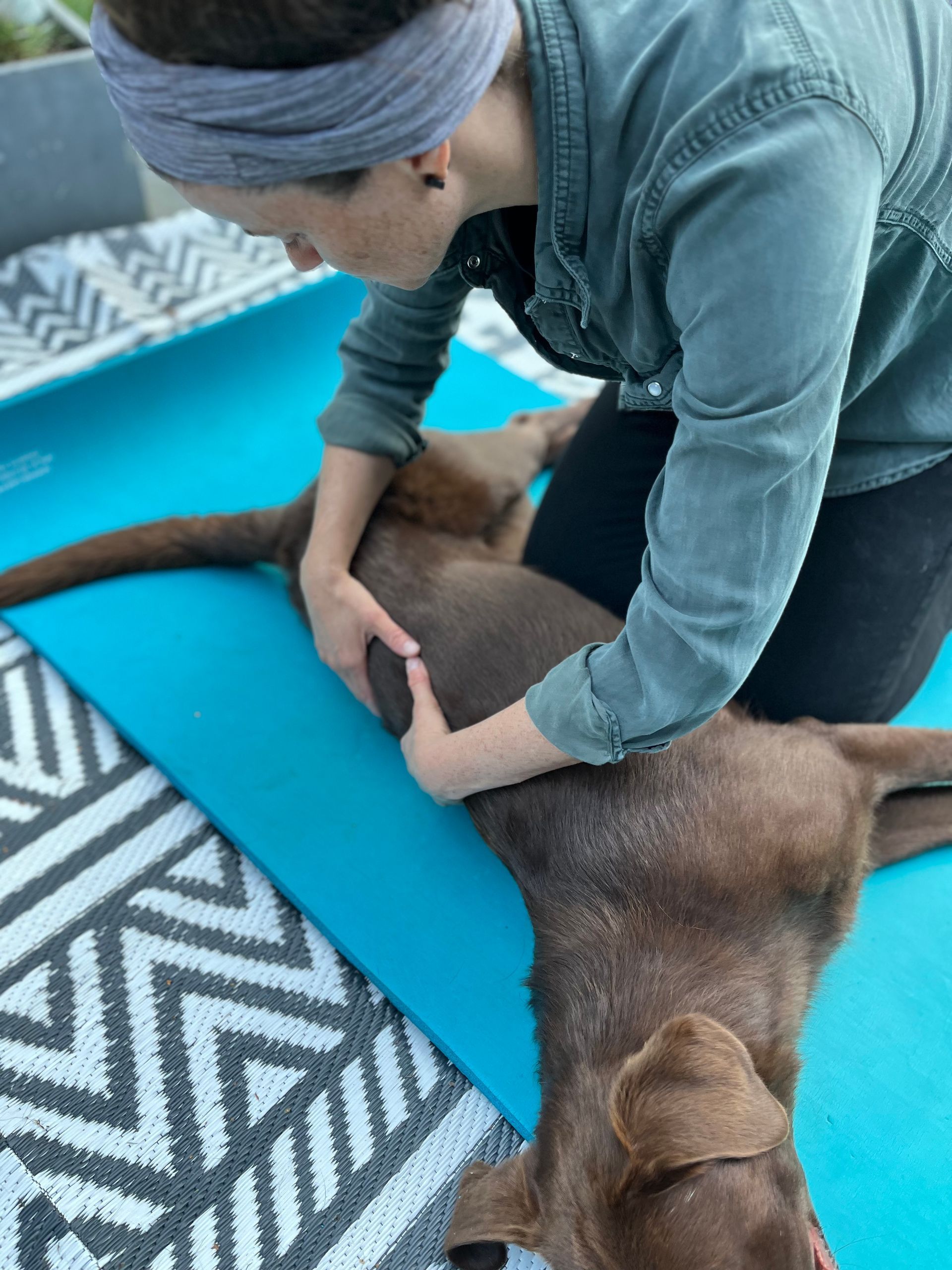 Hundephysiotherapie Achim und Bremen