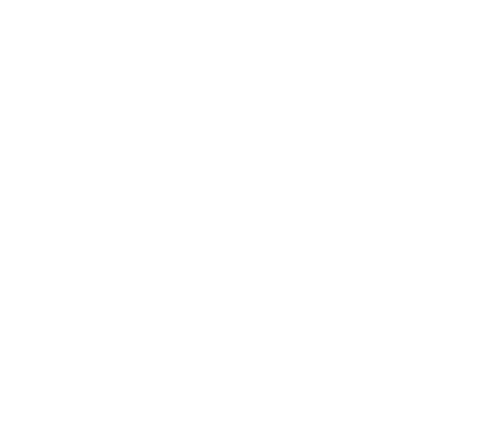 Hundephysiotherapie Achim