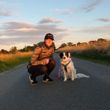 Hundephysiotherapie Achim