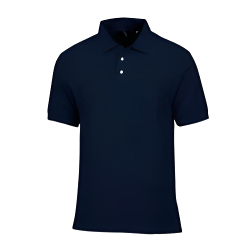 CAMISA TIPO POLO