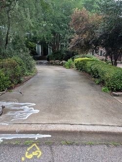Wet concrete driveway leading to a house entrance, lined with green shrubs and trees.