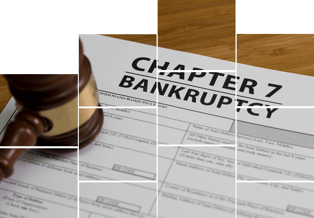 Document for Filing Bankruptcy Chapter 7 — Kailua, HI — Carol A. Tribbey, Attorney