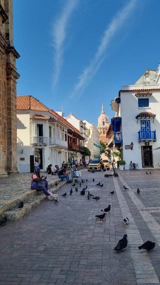 Un grupo de personas está sentado en las escaleras de un edificio en una ciudad rodeada de palomas.